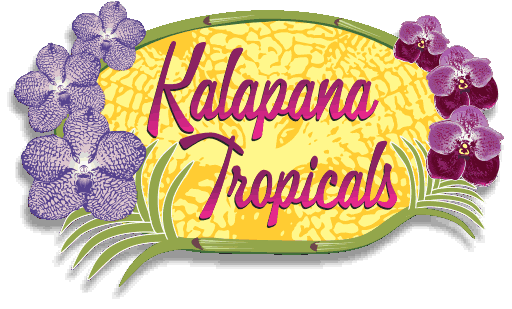 Kalapana Wholesale