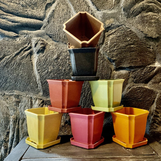 Eco Pots, box of 80 (Buy 70 get 10 FREE)